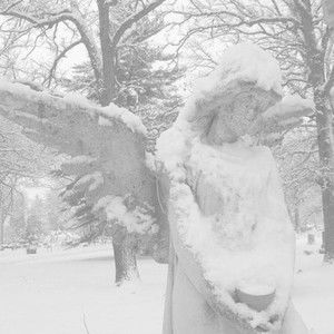 Meet your Posher, Valentine